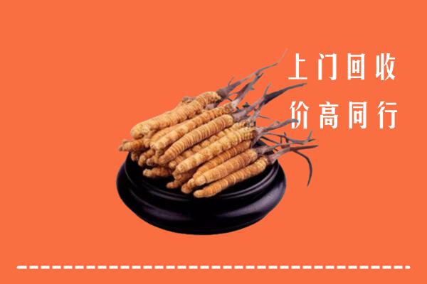 高价求购：南陵县回收散虫草