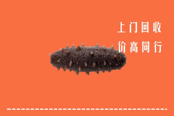 高价求购：南陵县回收海参